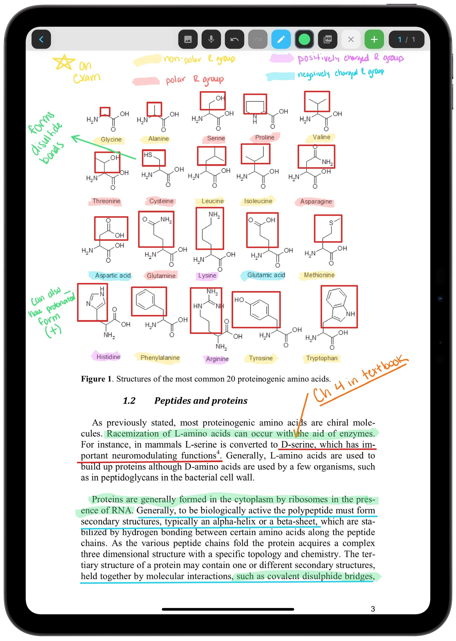 PDF Annotation